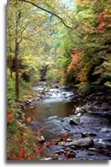 mountain creek picture