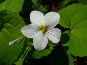May 2013 Plant # 1