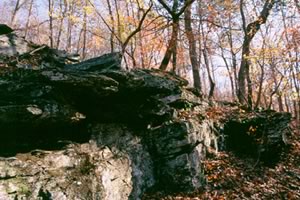 Amphibolite outcrop Photo by Hugh and Carol Nourse