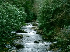 Panther Creek Photo by Hugh and Carol Nourse