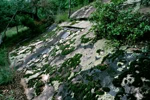 Rock outcrop on Currahee