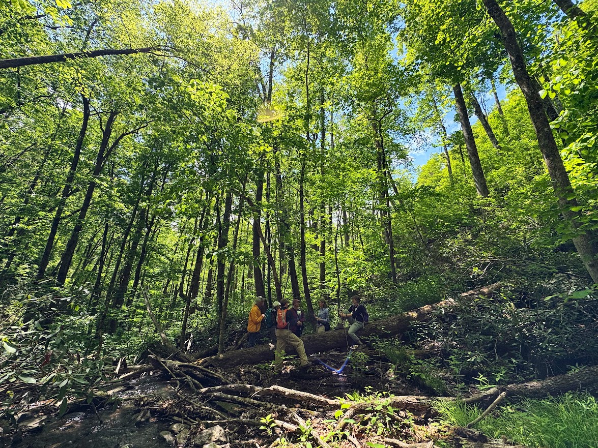 Pilgrimage 26
