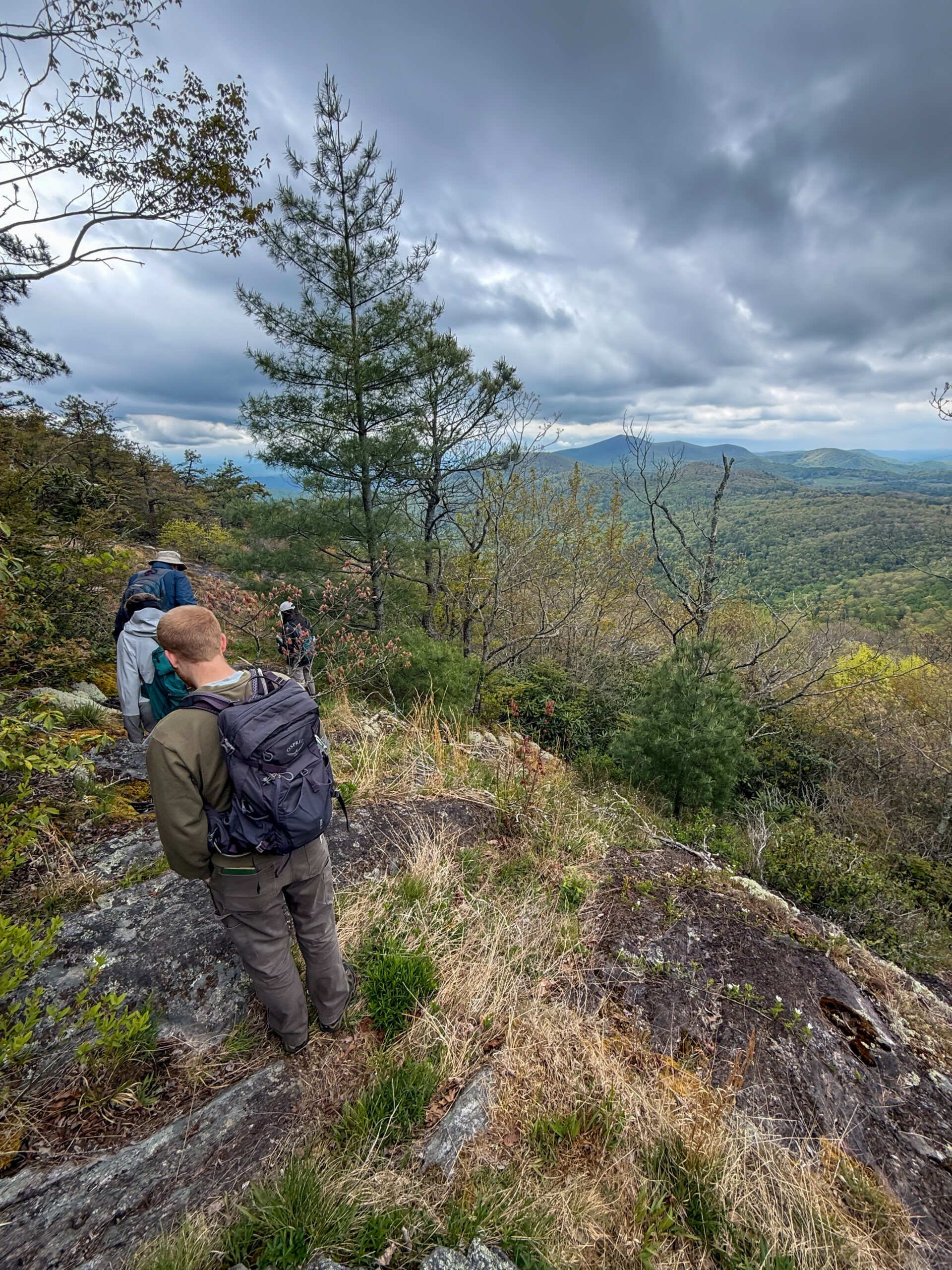 Scaly Mountain
